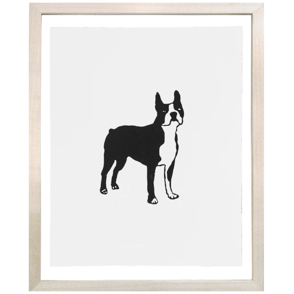 Boxer Dog