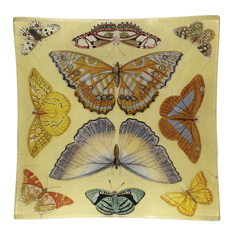 Butterfly Collection