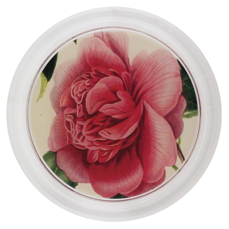 Camellia Blossom 4