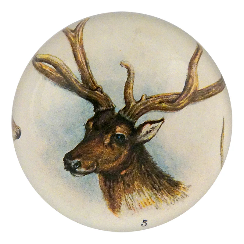 11 Tipped Deer