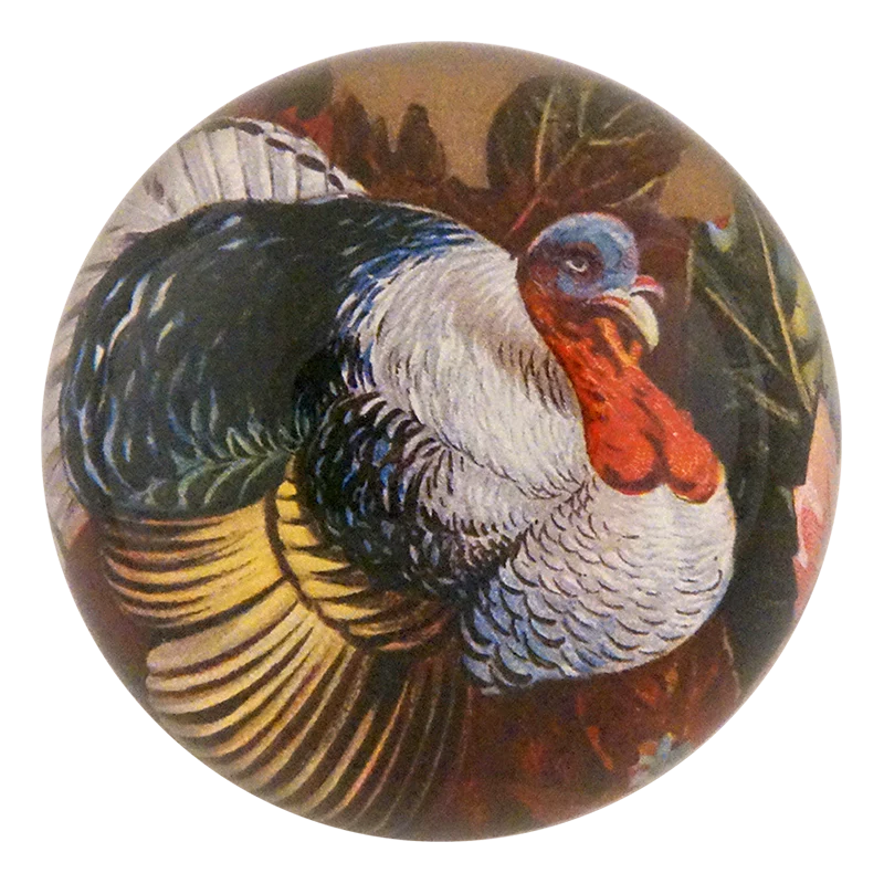 A Happy Thanksgiving