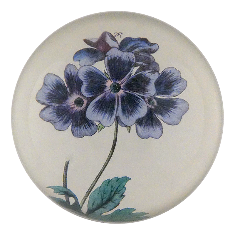 Blue Geranium