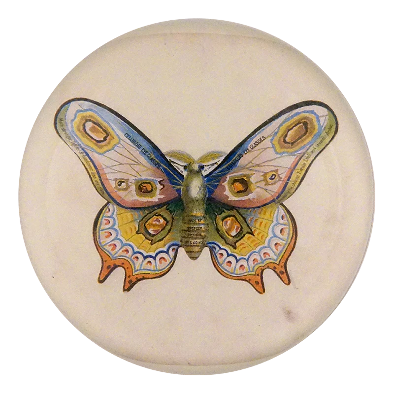 Butterfly Ad