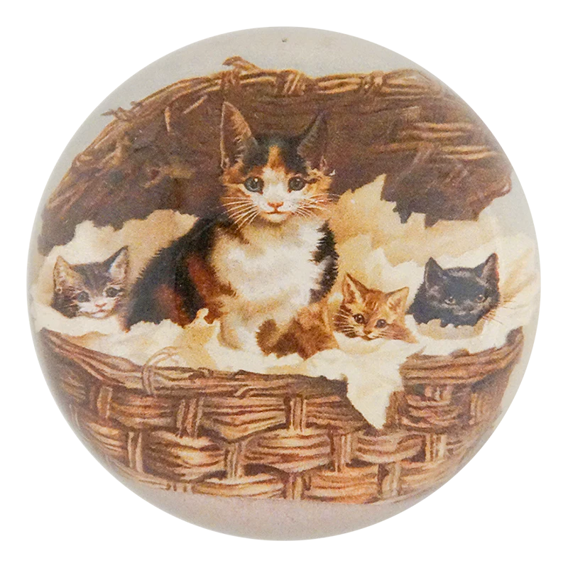 Cat Basket