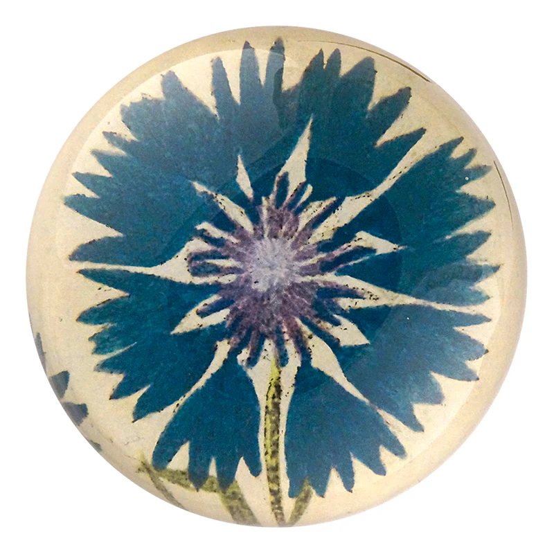 Deep Blue Corn Flower