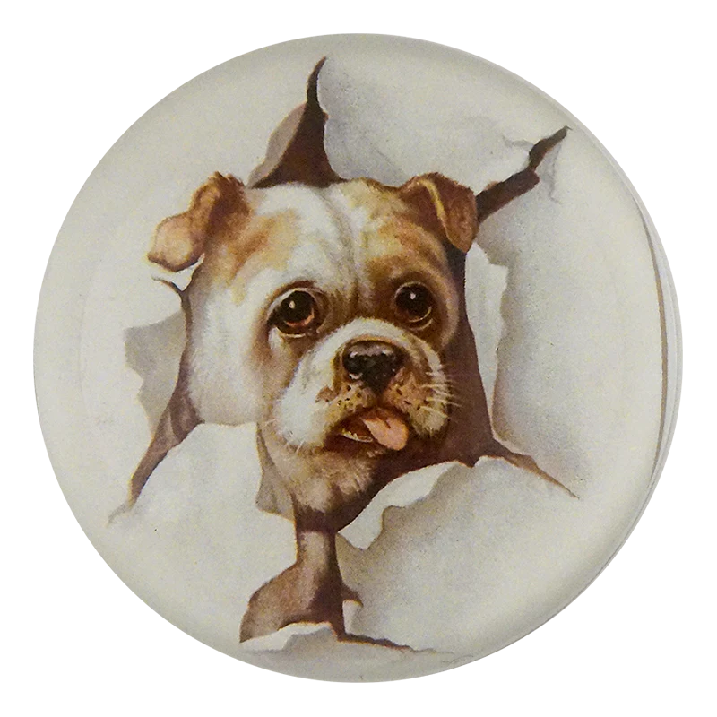 Doggie