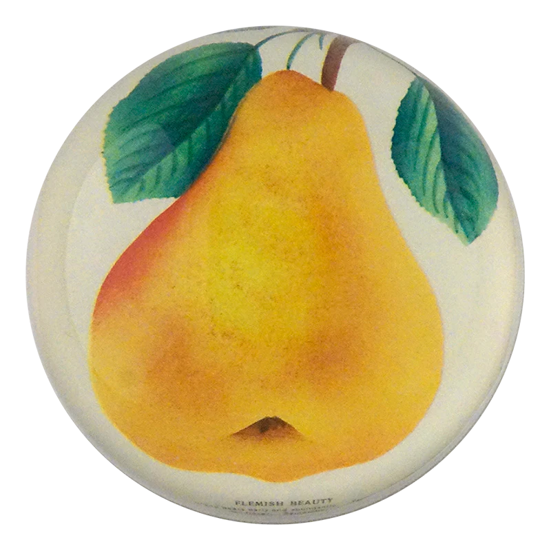 Flemish Beauty Pear