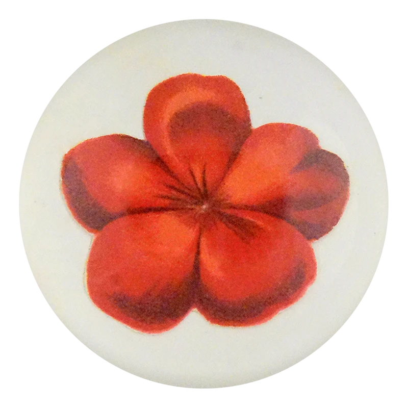 Geranium Fleuret 1