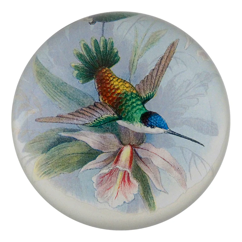 Hummingbird Detail