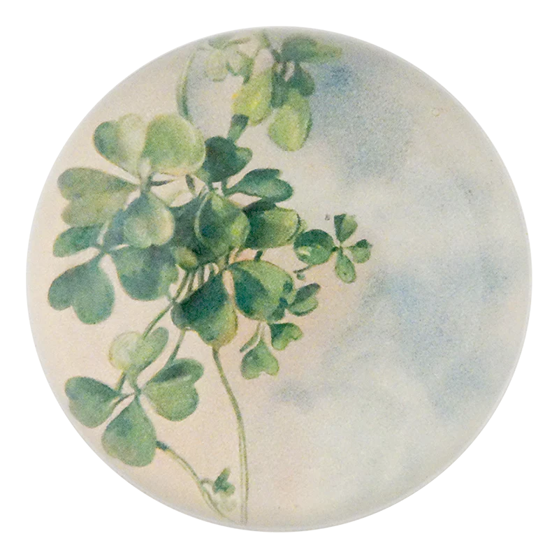 Killarney Clovers