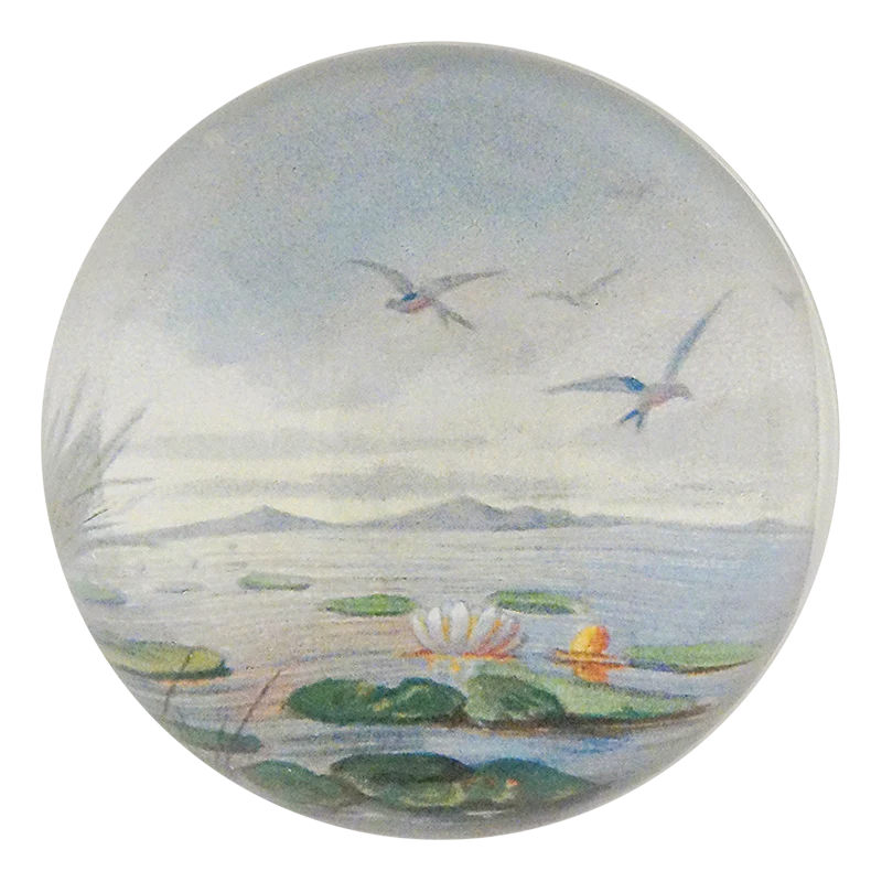 Lily Pond