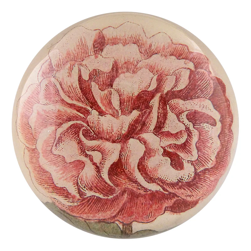 Malva (Chinese Rosea)