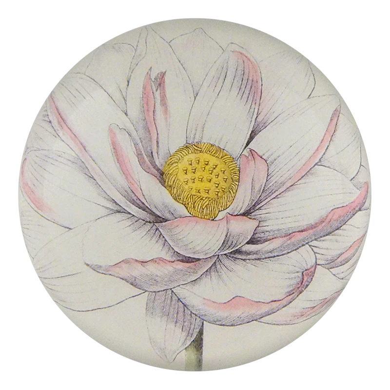 Nelumbo