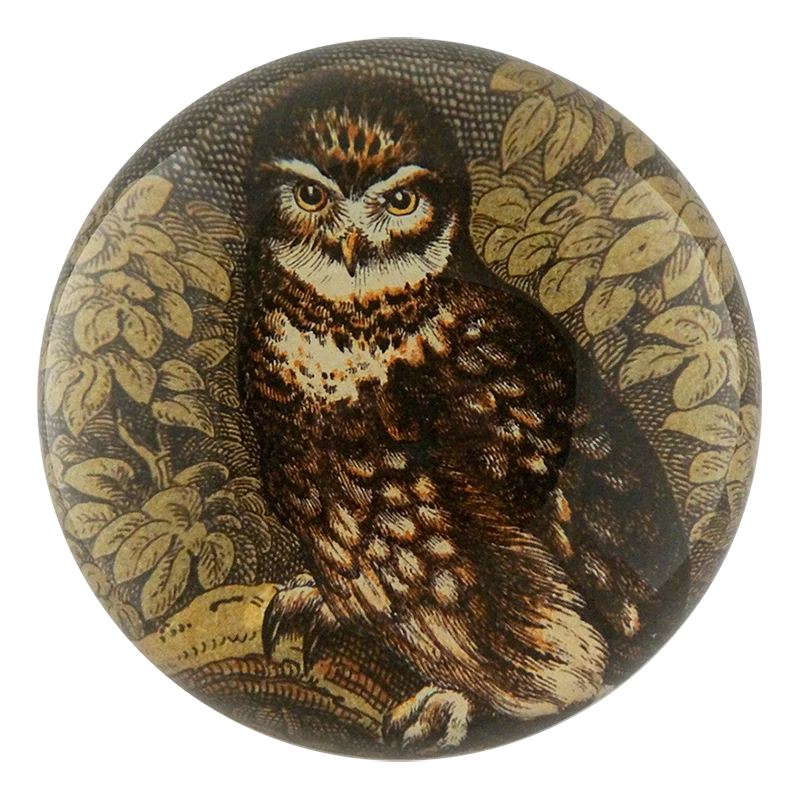 Owl with Leaves
