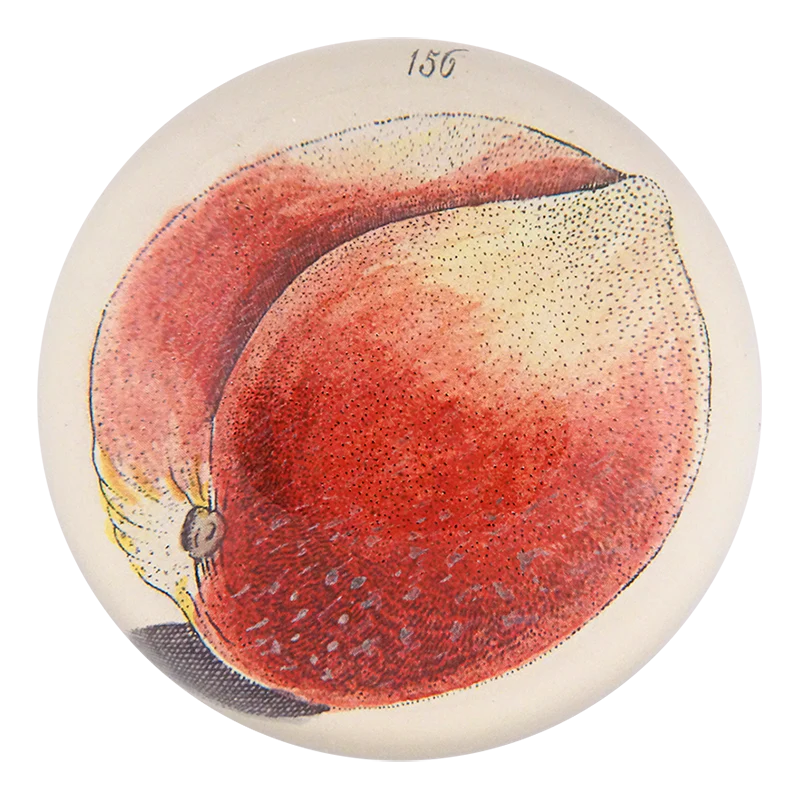 Peach 156