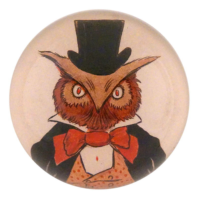 Sweet Owl