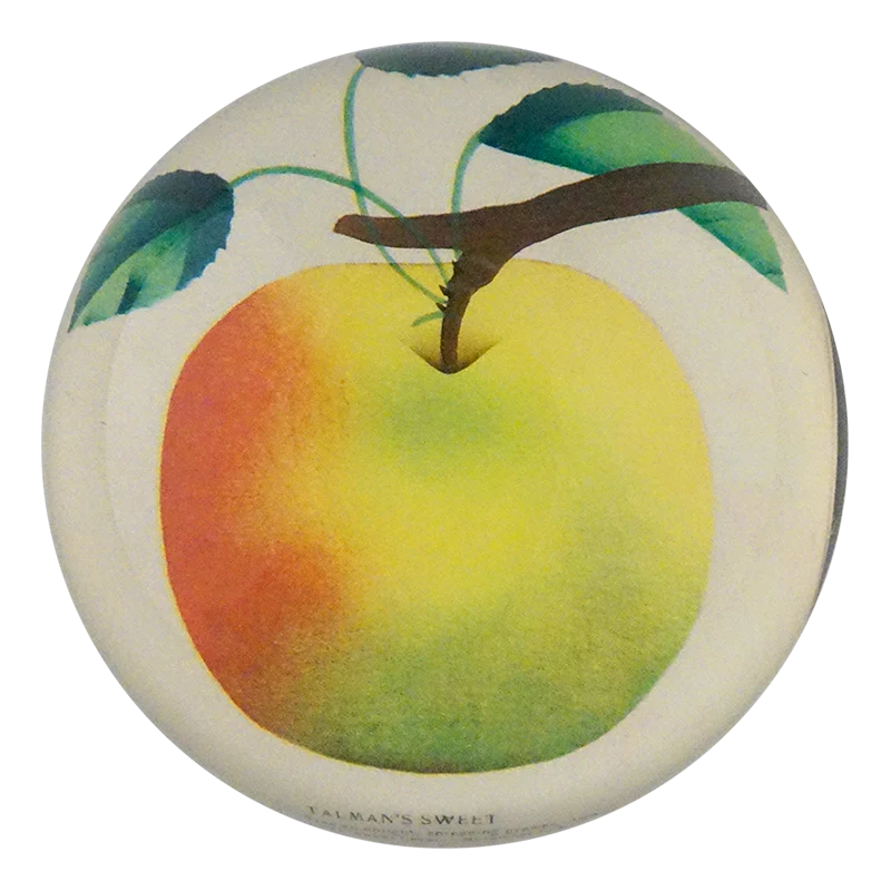 Talman's Sweet Apple