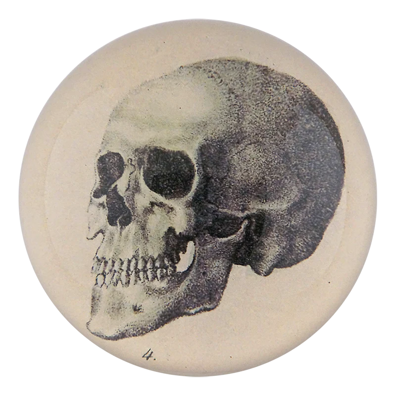 The Skull