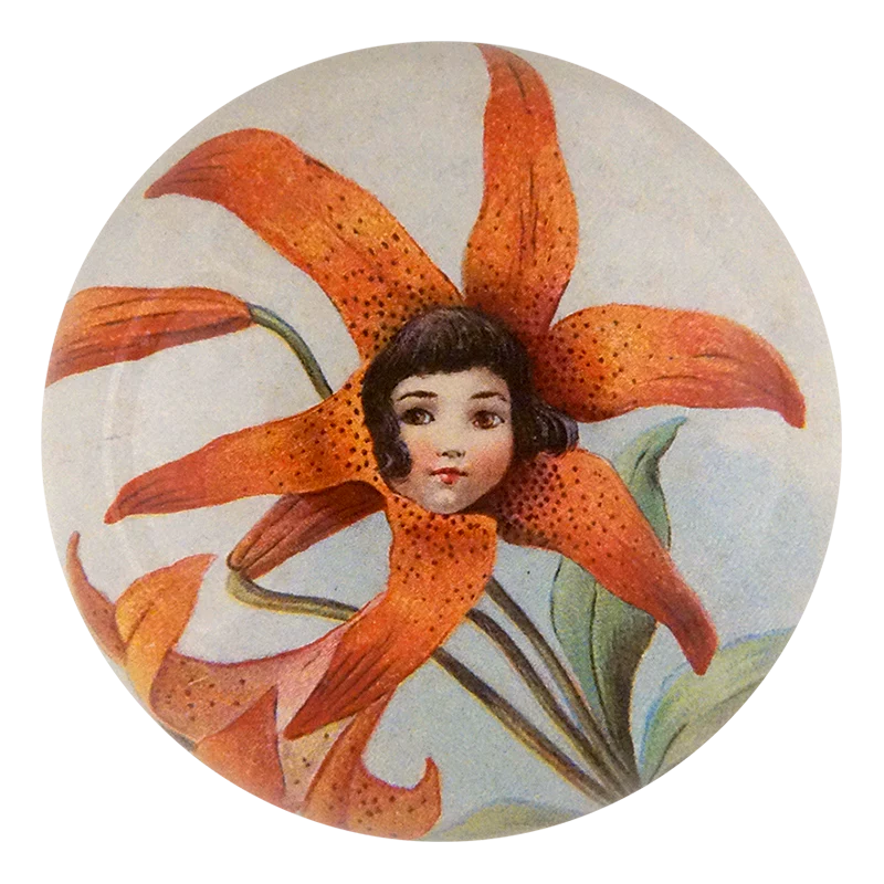Tiger Lily