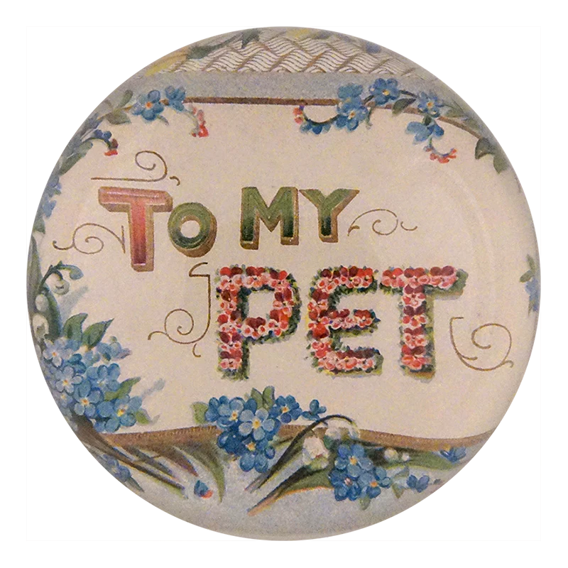To My Pet