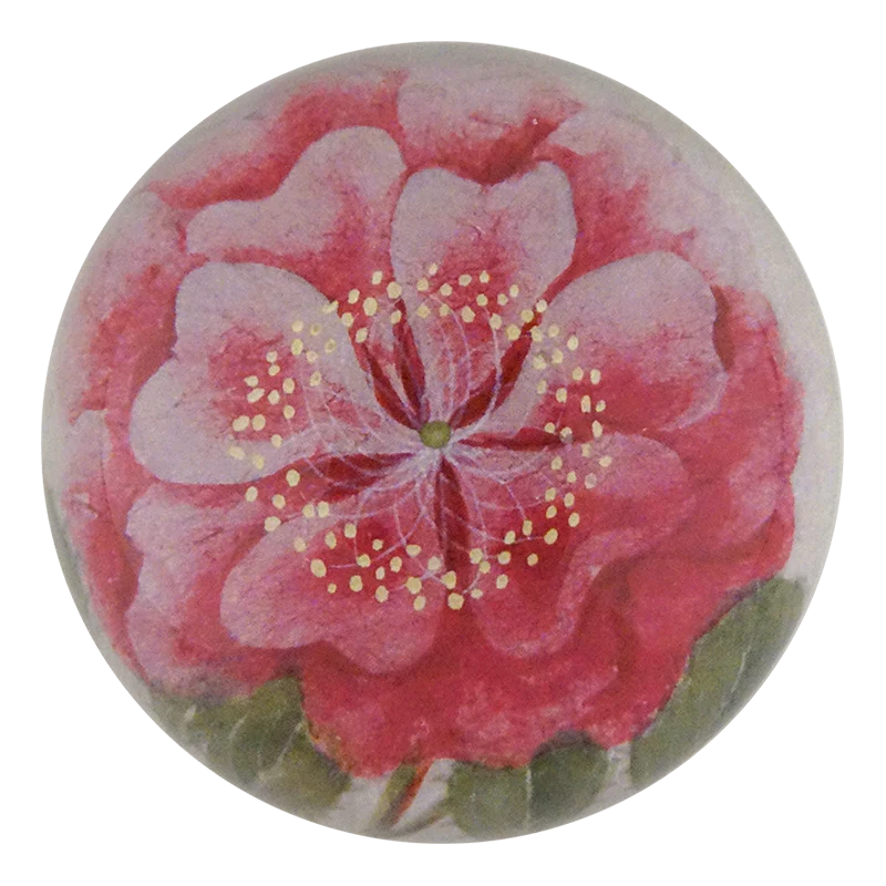 Tropical Rose