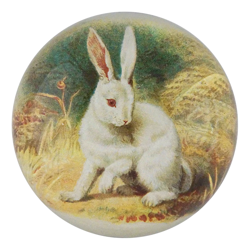 White Bunny