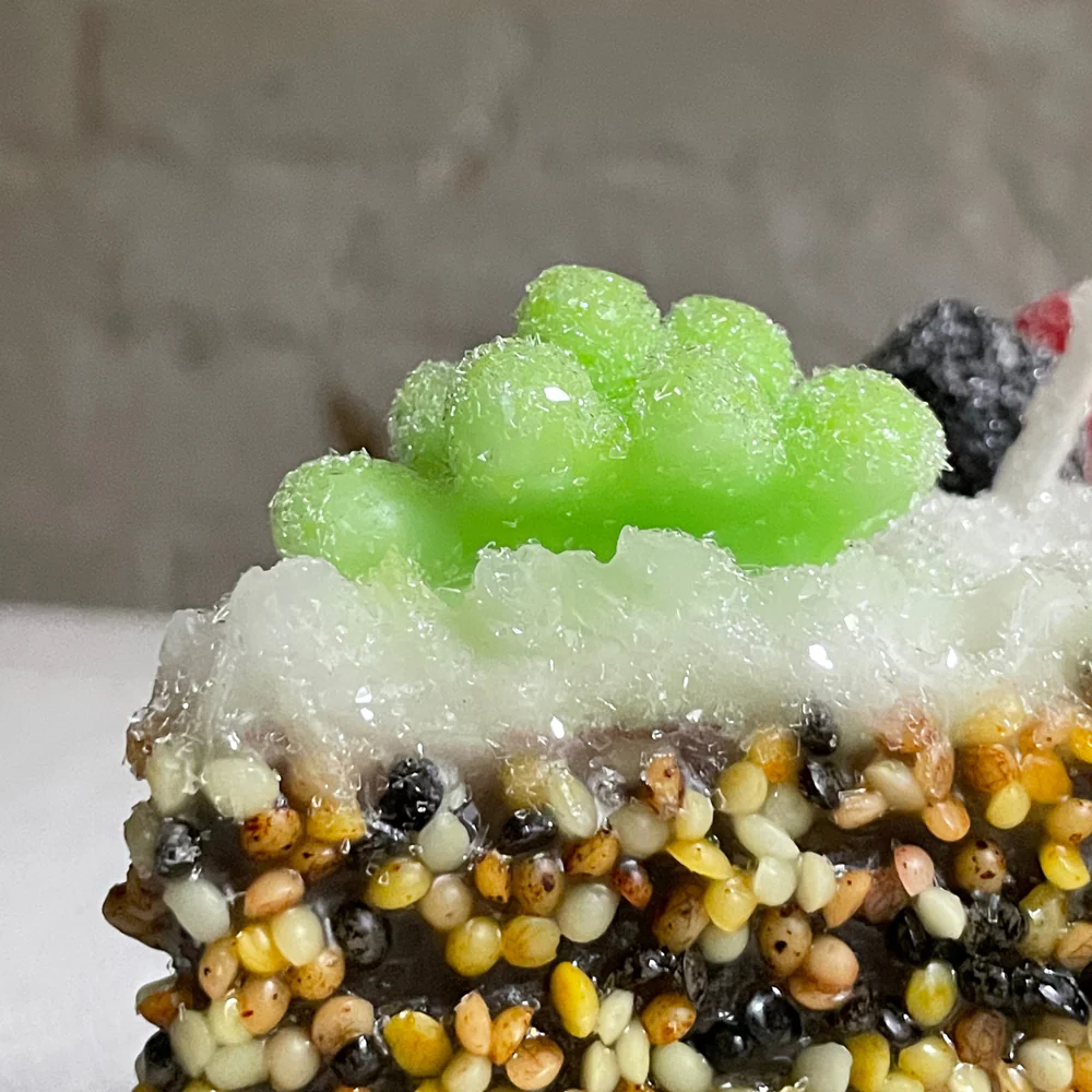 Torta Candita a Fette Chocolate Cake Slice with Fruit Candle - Image 2
