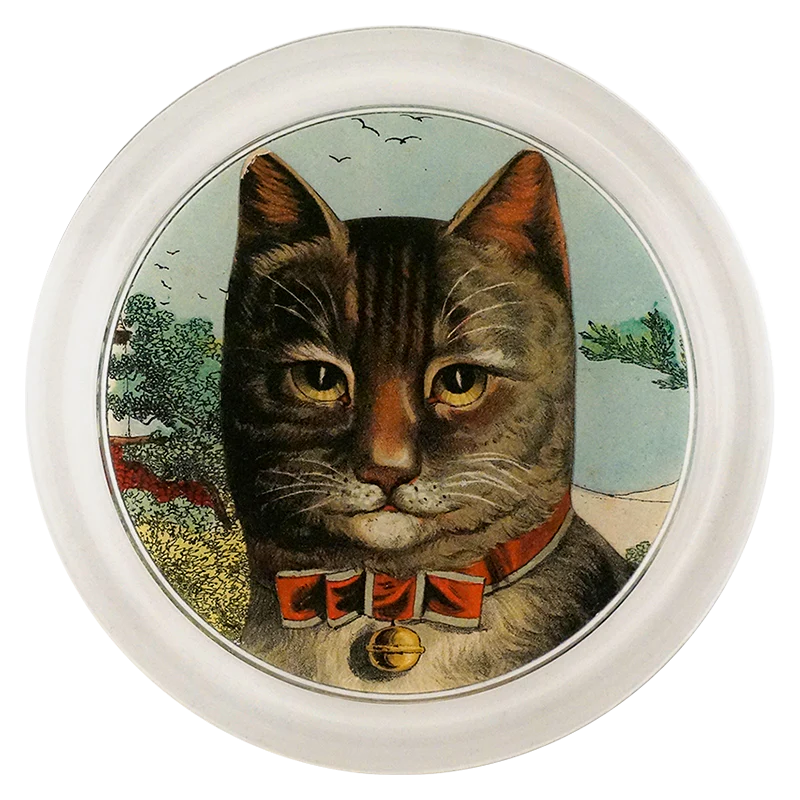 Country Cat