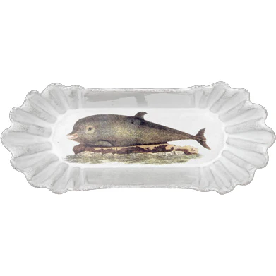 Dolphin Panorama Dish