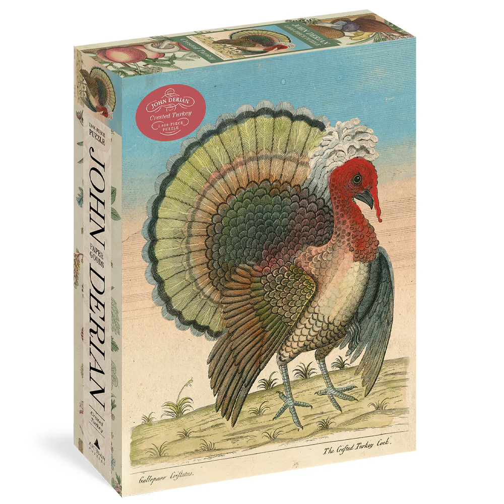 Crested Turkey