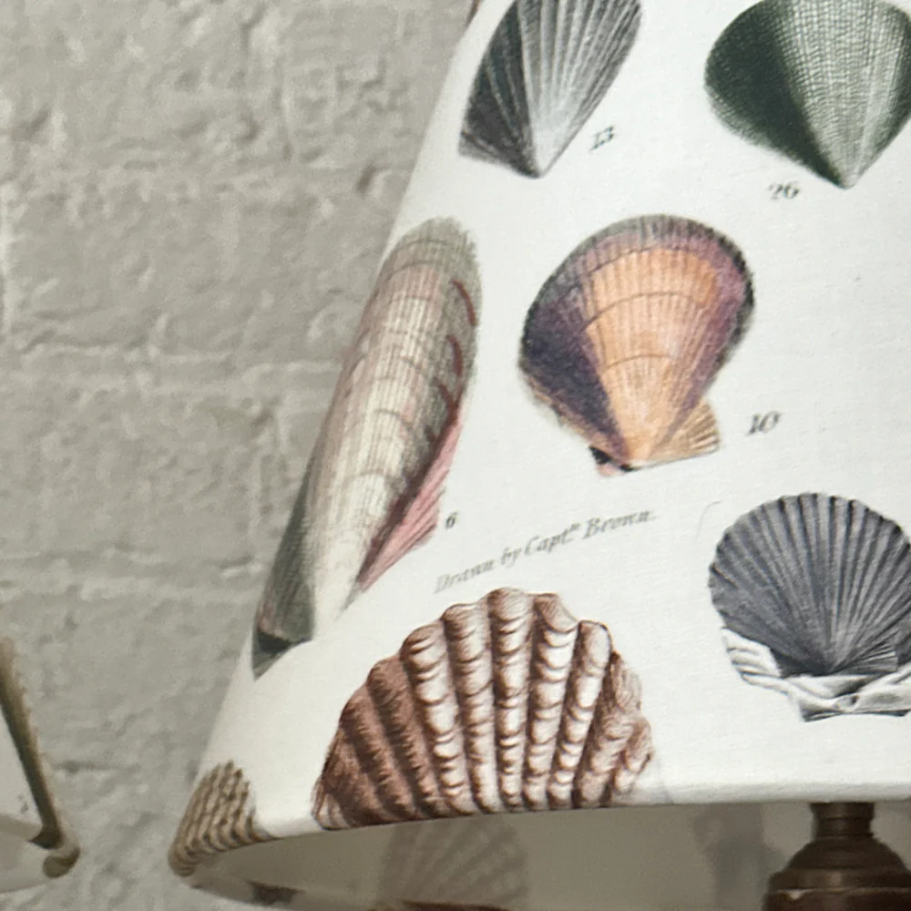 Custom John Derian for Designers Guild "Captain Thomas Brown Shells Oyster" Lampshade Pair - Image 3