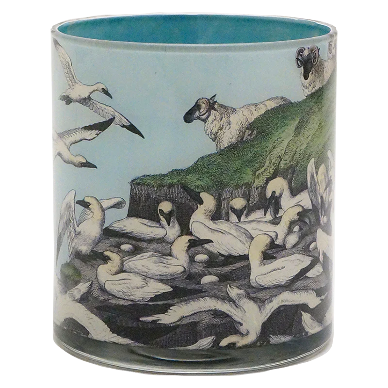 Gulls