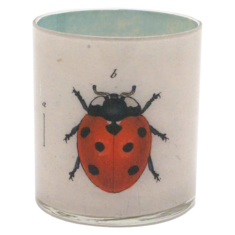 Ladybugs