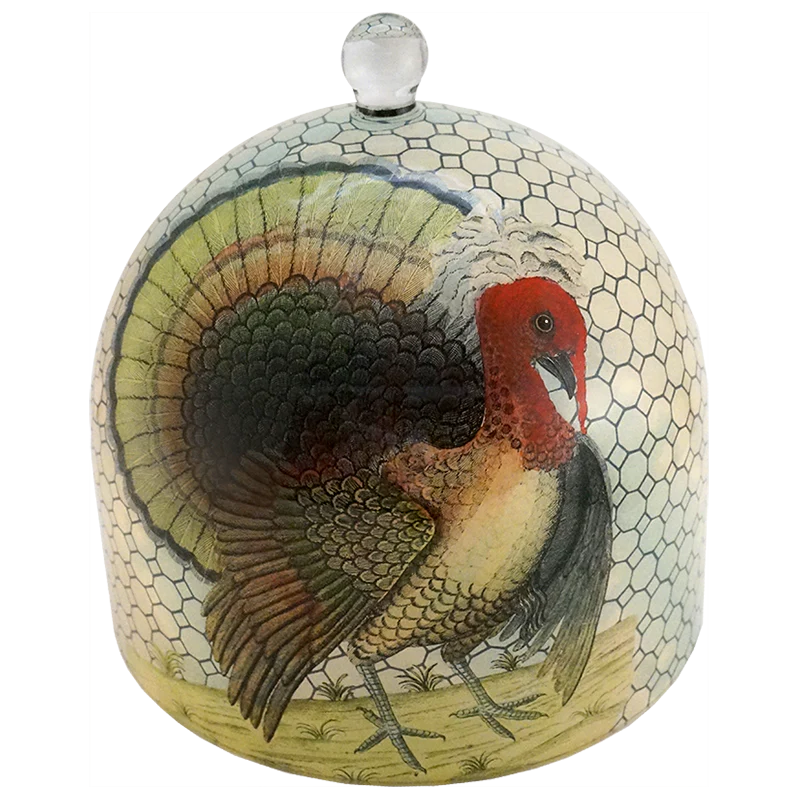 Turkeys Dome