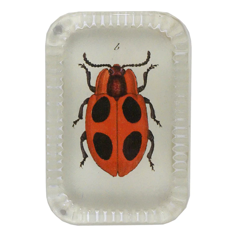 Big Dot Ladybug