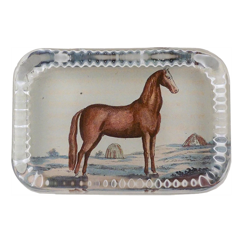 Brown Horse 5