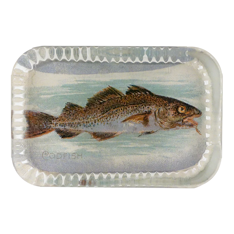 Cod Fish (Fish)
