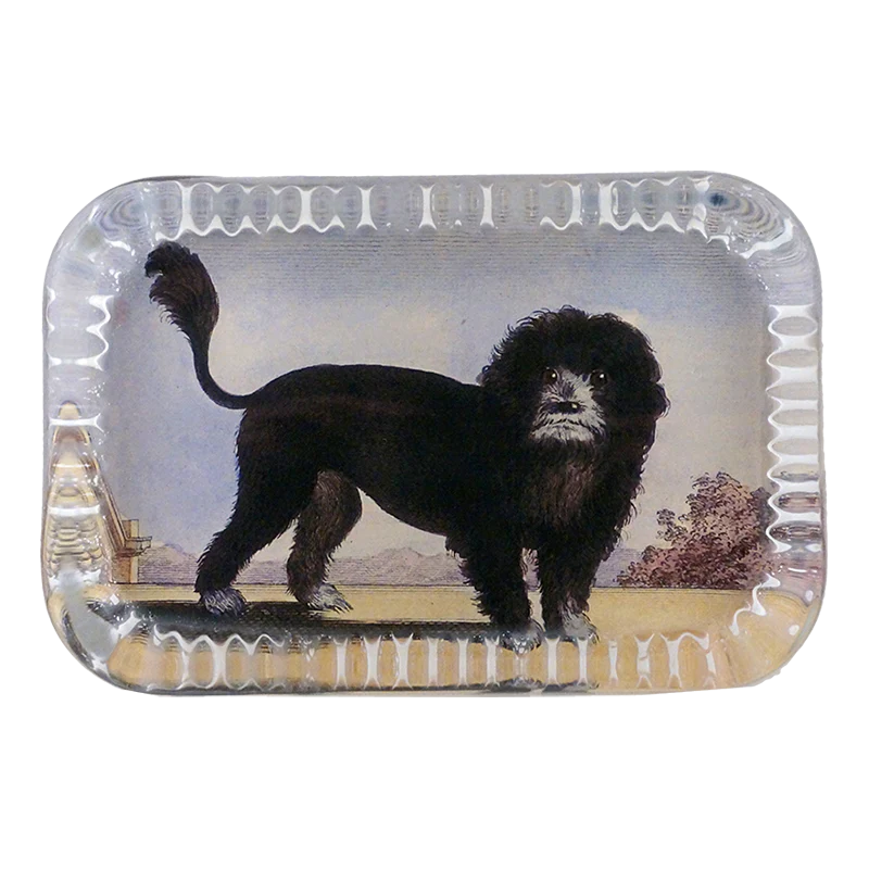 Le Chien Lion