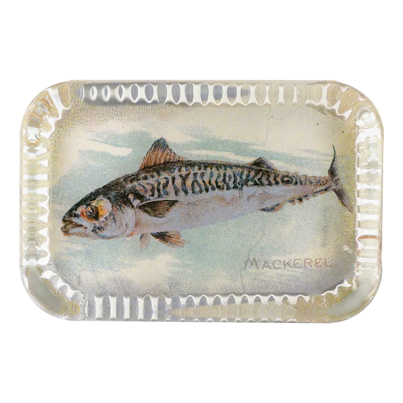 Mackerel (Fish)