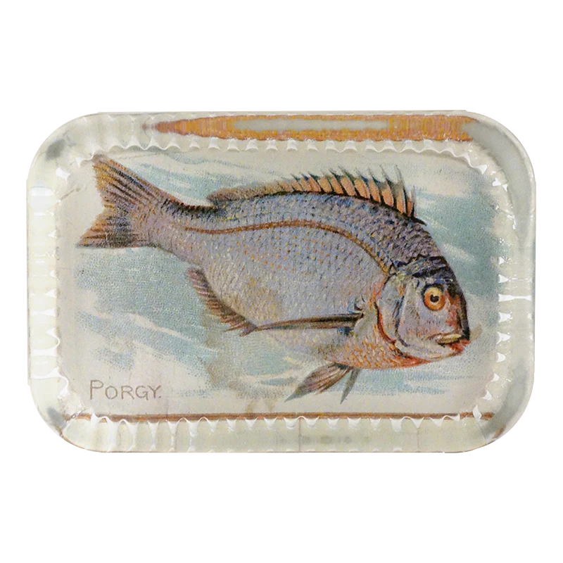 Porgy (Fish)