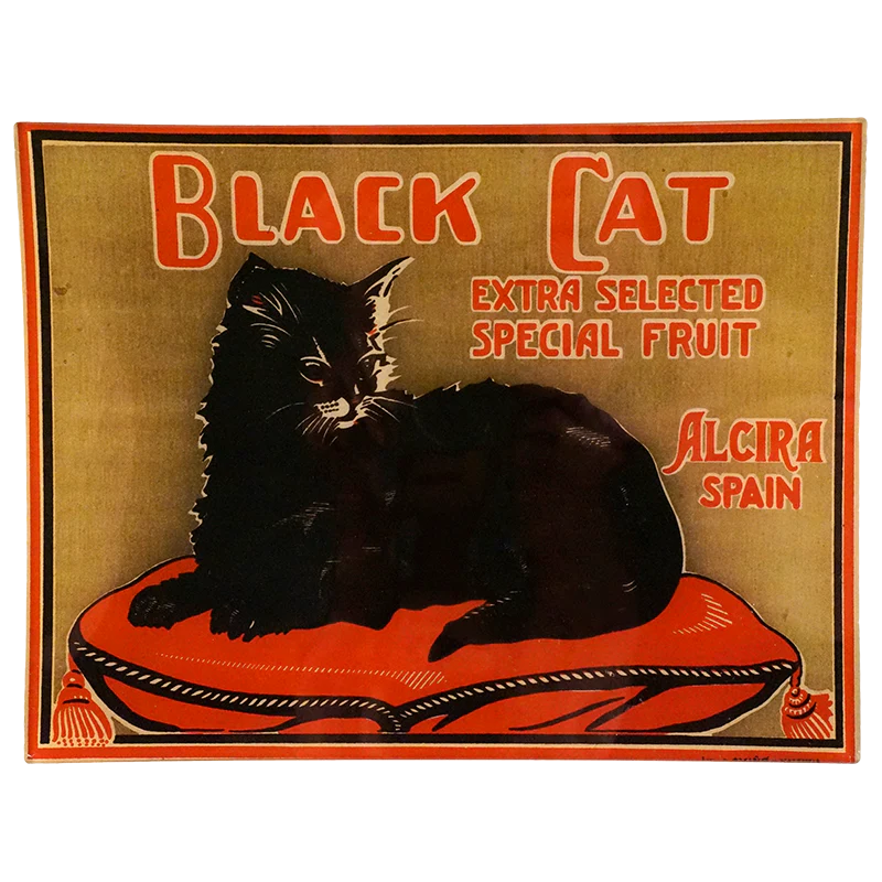 Black Cat Alcira Spain
