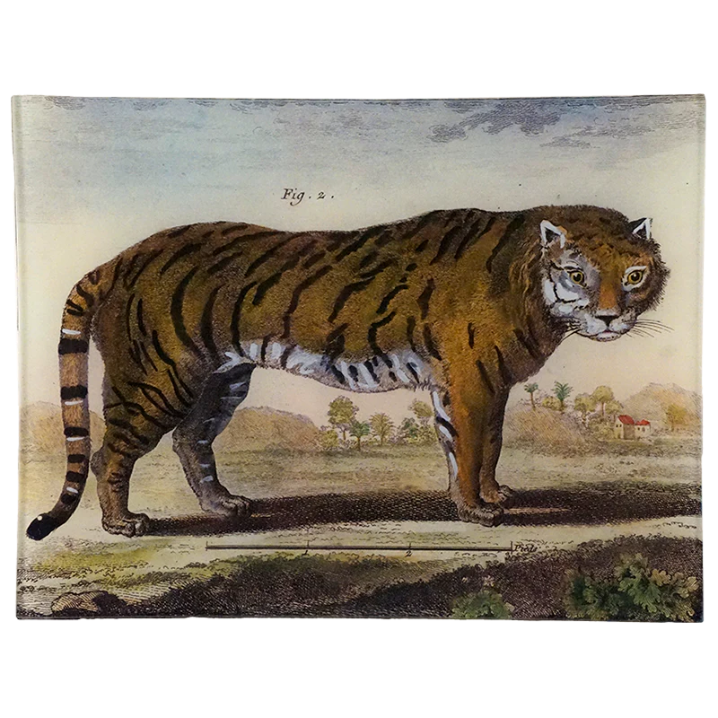 Le Tigre