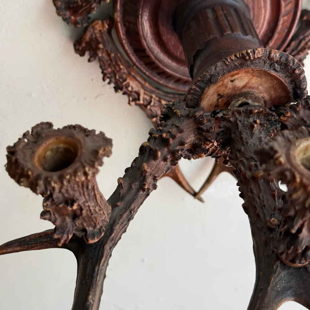 Early 20th-century Black Forest Antler Sconce Pair - Image 10