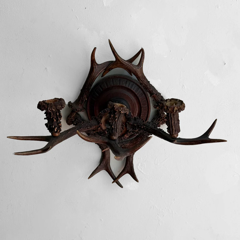 Early 20th-century Black Forest Antler Sconce Pair - Image 14