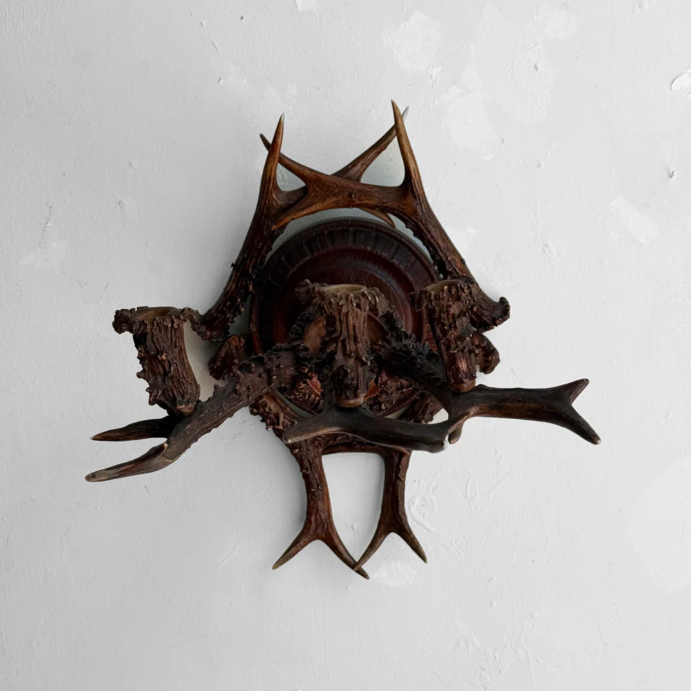 Early 20th-century Black Forest Antler Sconce Pair - Image 6