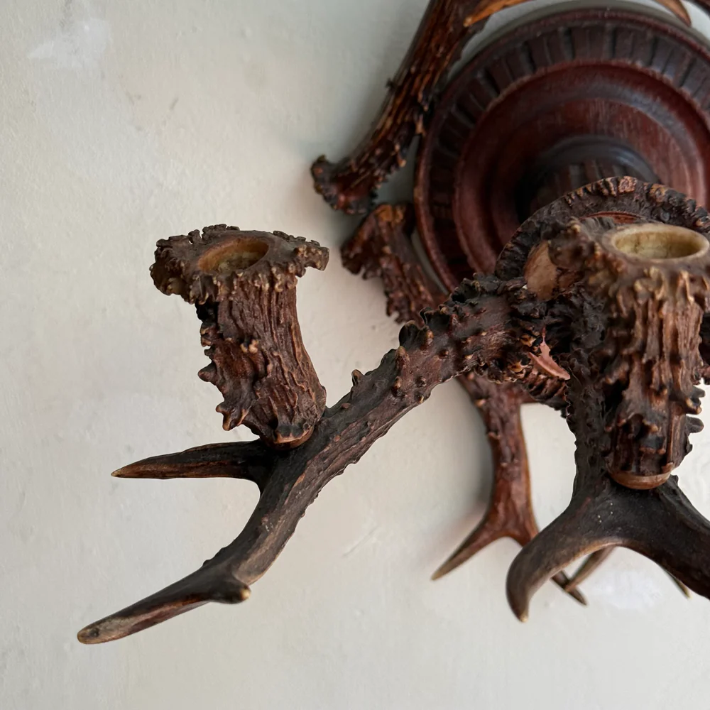 Early 20th-century Black Forest Antler Sconce Pair - Image 8