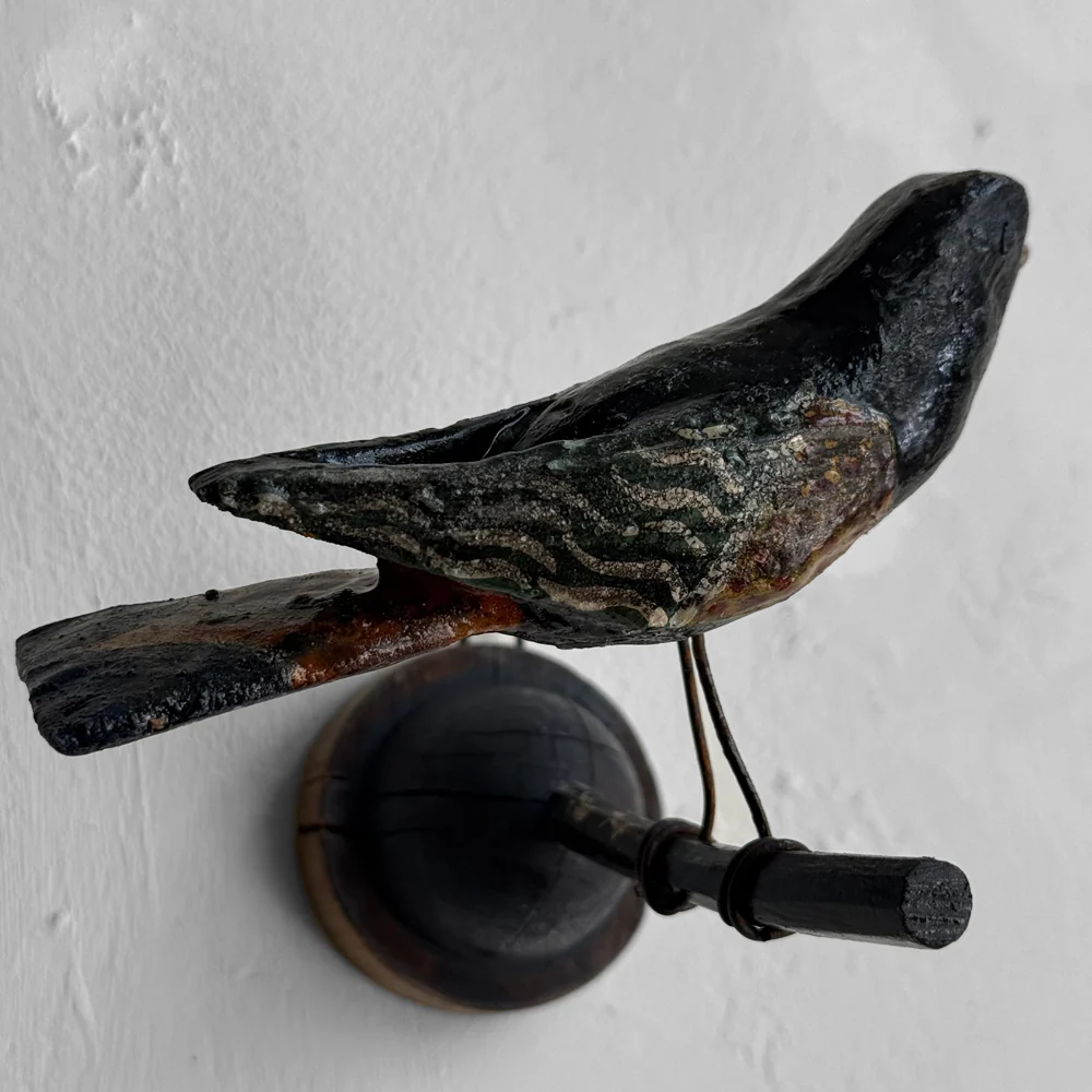 Early 20th-century Black Forest Carved Bird (BFB-02) - Image 3