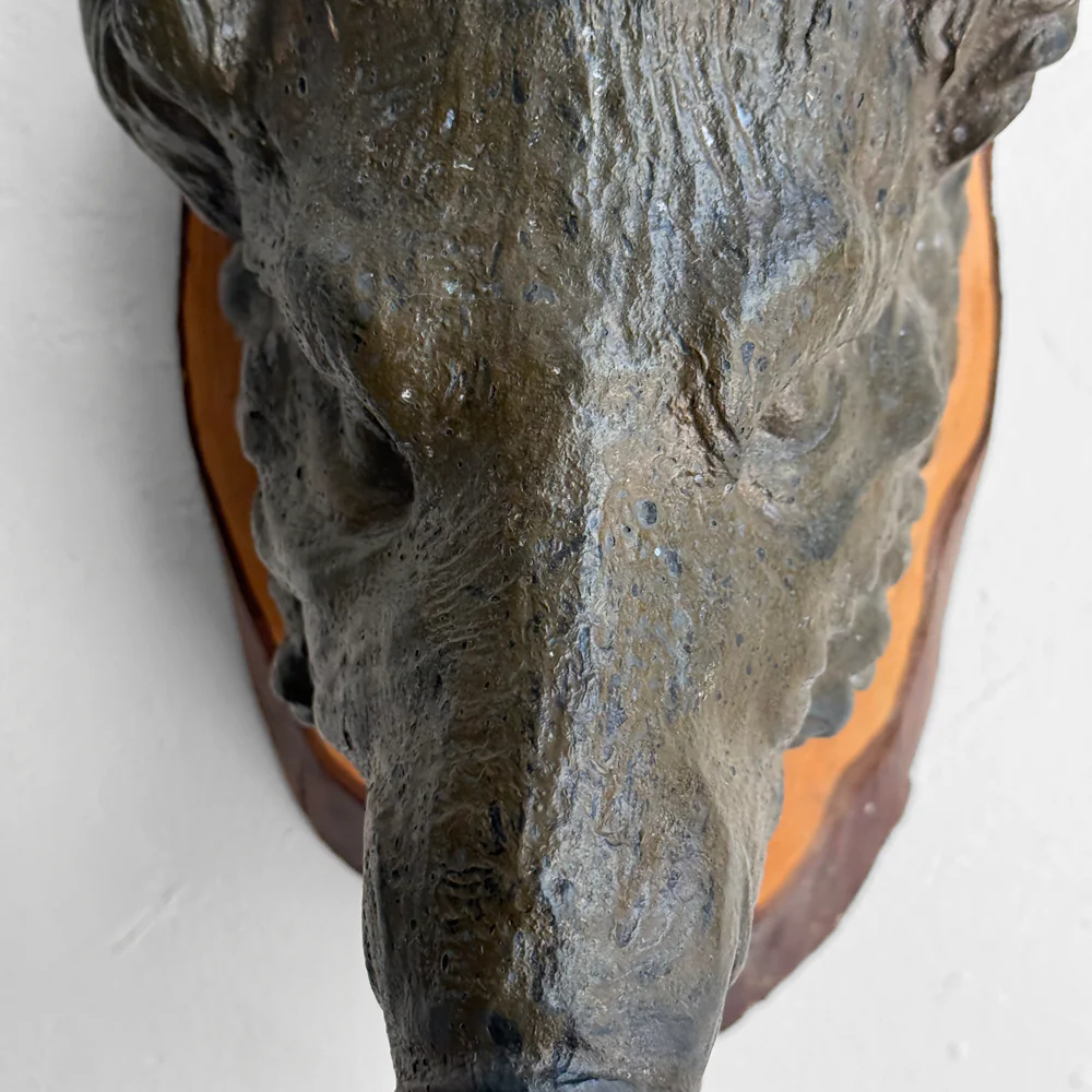 Early 20th-century Black Forest Carved Boar (BFBO-03) - Image 4