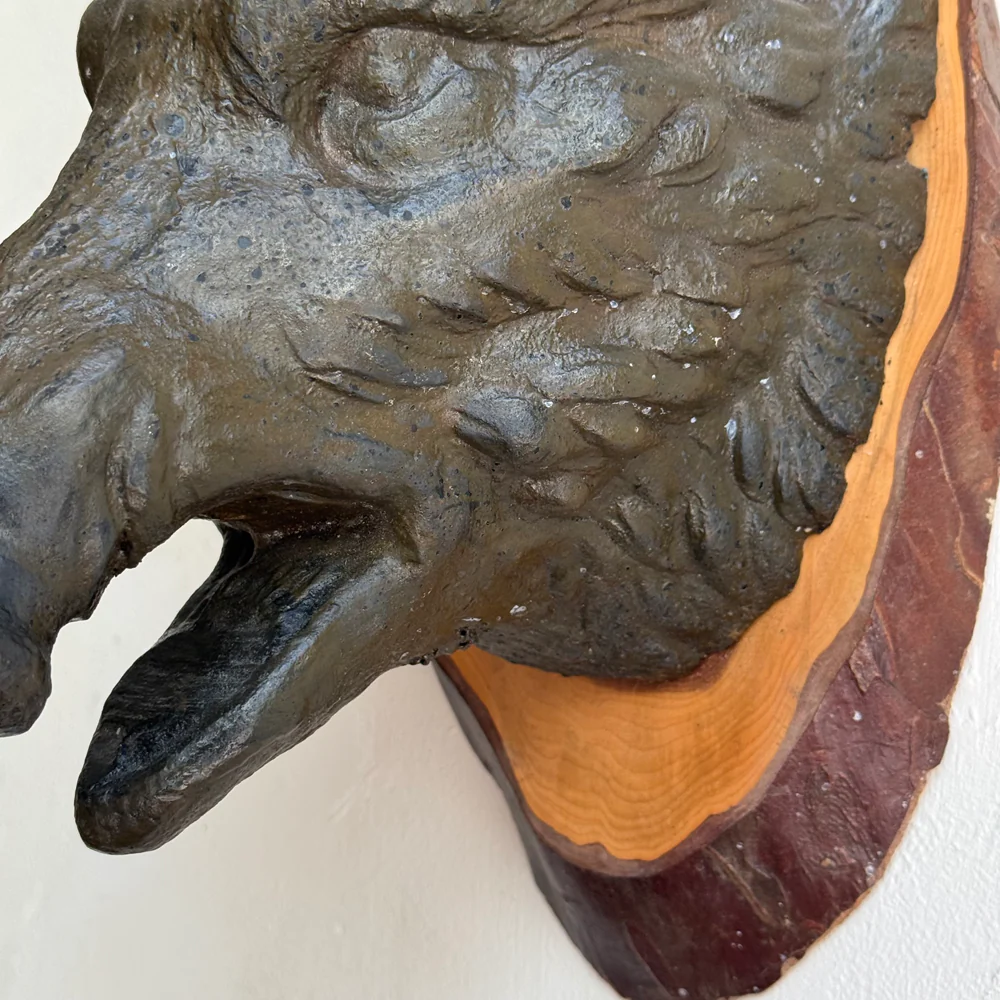 Early 20th-century Black Forest Carved Boar (BFBO-03) - Image 5