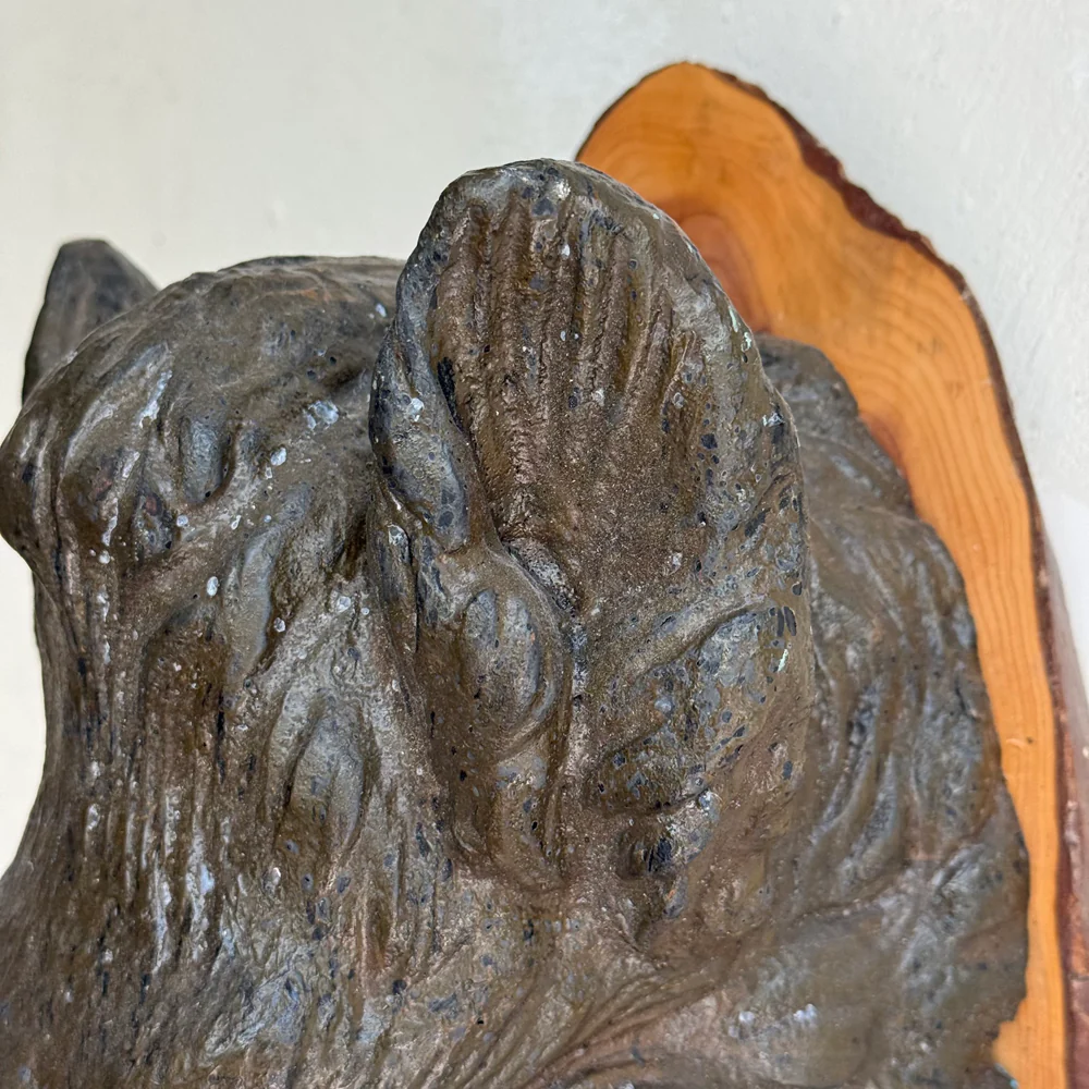 Early 20th-century Black Forest Carved Boar (BFBO-03) - Image 6